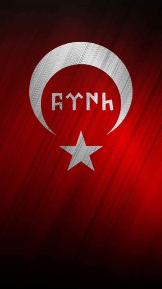 "Türklük benim en derin güven kaynağım, en engin övünç dayanağımdır."

-Mustafa Kemal Atatürk

#3MayısTürkçülerGünükutluolsun
