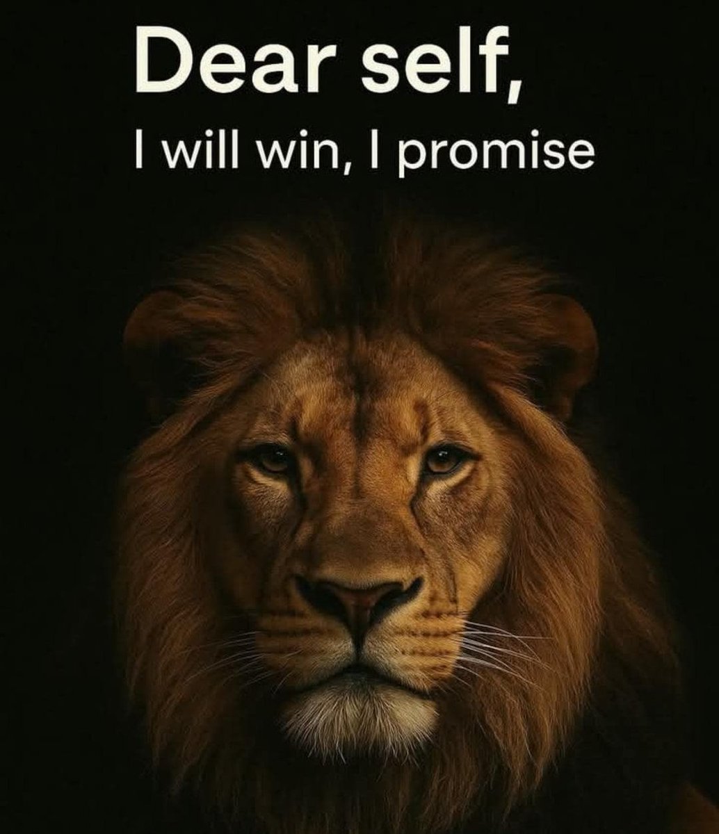 Wisdom_Visuals's tweet image. I promise.