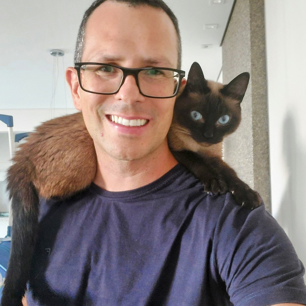 FariasPsicologo's tweet photo. Certa vez cheguei do consultório e havia um gato na garagem 
Ele me acompanhou até o elevador 
Quando chegou meu andar, sem mais nem menos, ele entrou no apartamento 
Deu uma volta pela casa, deitou no sofá e dormiu
MAIOR CARA DE PAU

Faz 7 anos desde que meu parceirão me adotou https://t.co/l3xJws3VEk