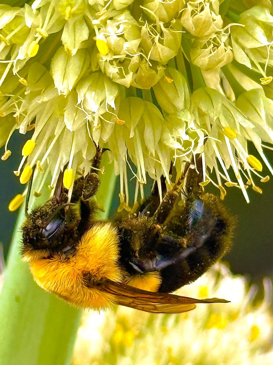 With <a href="/Mrshntress/">Mrs. Hunts4Food70’s</a>