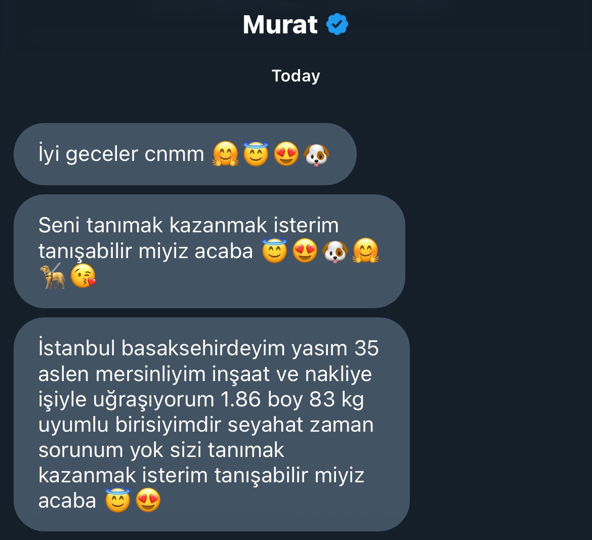 abi sen olayı çok yanlış anlamışsın ben gay değilim