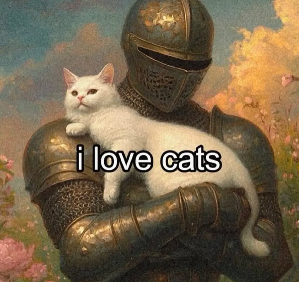 💖 (@twaniimals) on Twitter photo 