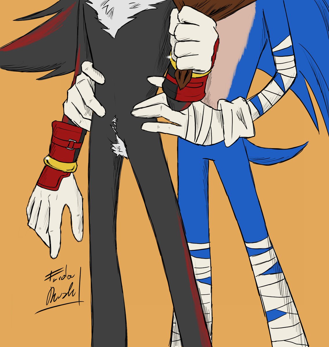 FridaRush2's tweet image. Boom sonadow to block the art block sigh
#boomshadow #boomsonic #boomsonadow