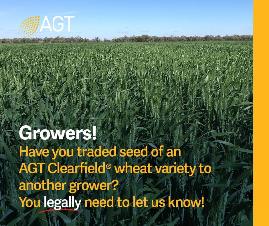 For more information on sharing AGT Clearfield varieties, click here: bit.ly/44bly4w
To access the AGT Grower Portal, click here: portal.agtbreeding.com.au

#seedsharing #Clearfield