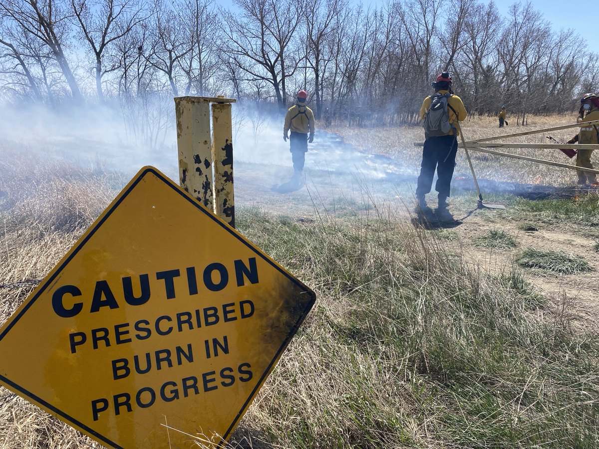 CTVGareth's tweet image. BURN Baby Burn!!! 🔥
A prescribed burn at the Condie Nature Refuge this morning. Safely taking away fuel to reduce the risk of a wildfire this summer. @SaskParksandRec #yqr #prescribedburn #wildfire #fire