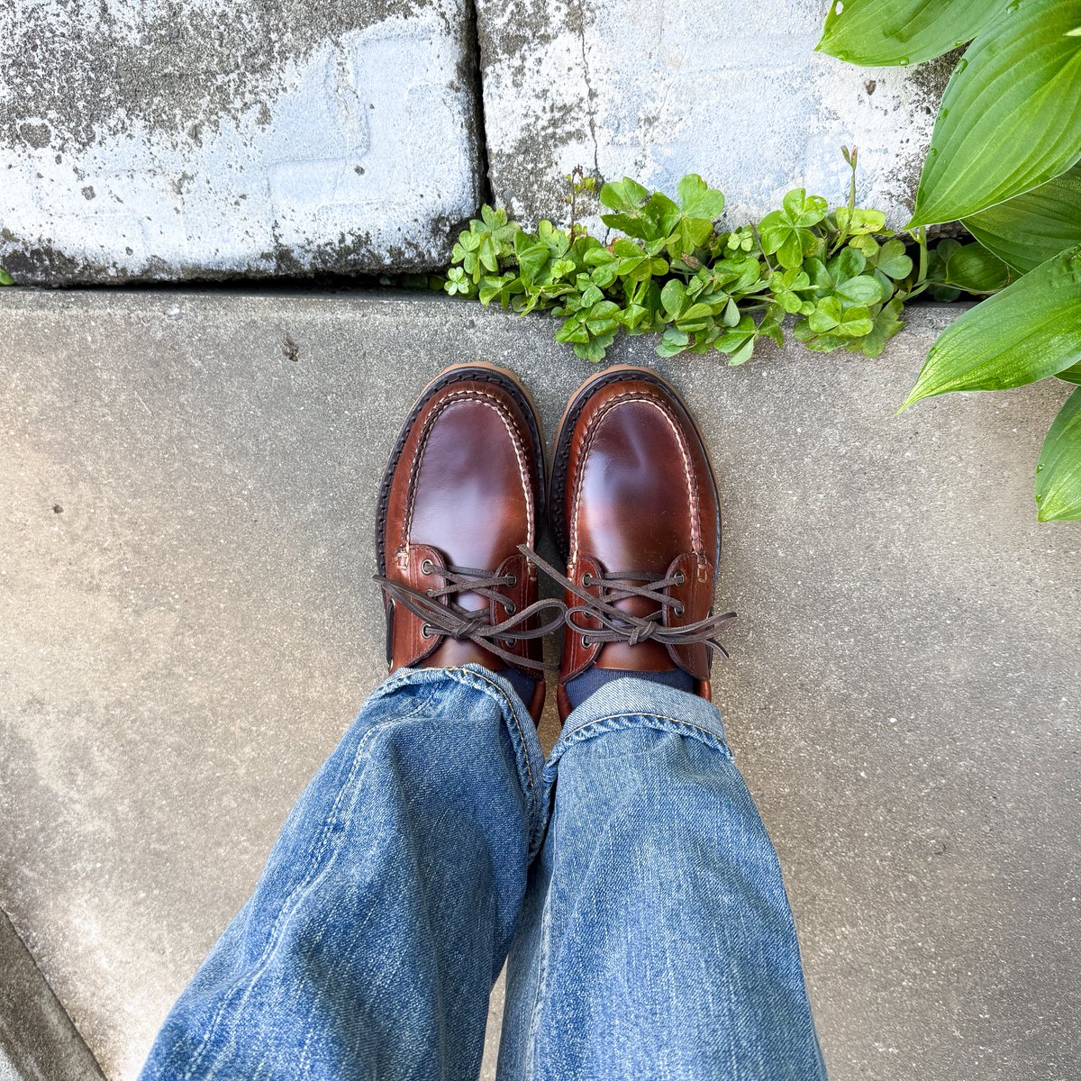 sthkzn's tweet photo. L.L.Bean
Allagash Handsawn Moc 3Eye
履きおろしなので床屋さんまで歩いて様子見。
踵と右足親指にちょっとアタリを感じるかな。
#llbean #エルエルビーン #allagashhandsawanmoc3eye #アラガッシュハンドソーンモックスリーアイ #mocassin #モカシン #フルカウント #fullcount https://t.co/5D5OOlqxI9