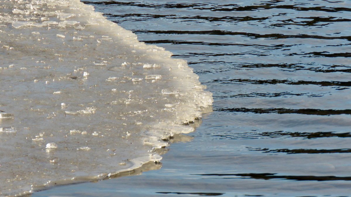 Mark Harding tweet media