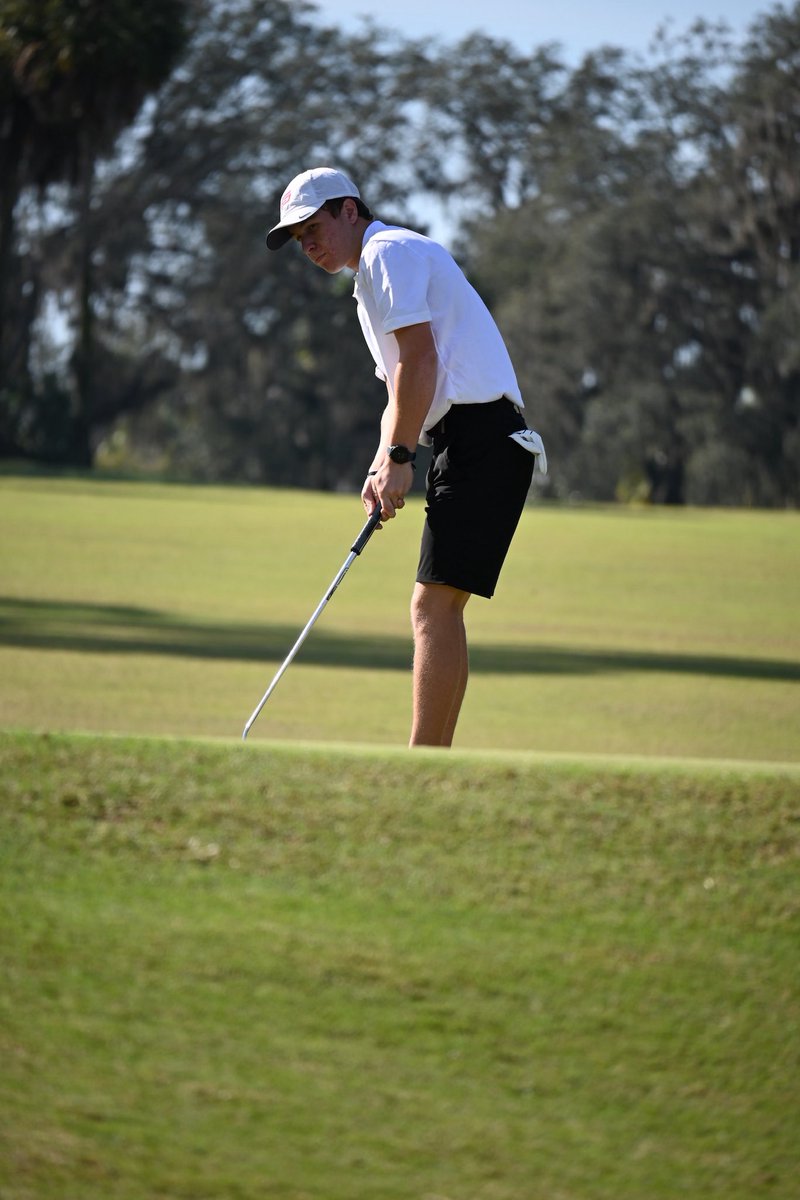 Freedom (Tampa) High School Golf tweet media