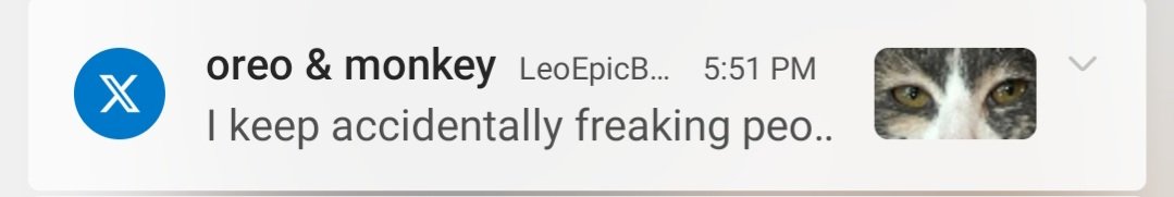 Leo Lion🦁 (@LeoEpicBadBoy) / Posts / X
