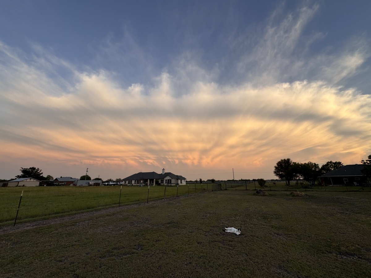 Gorgeous ⁦<a href="/ChrisSuchanWOAI/">Chris Suchan</a>⁩