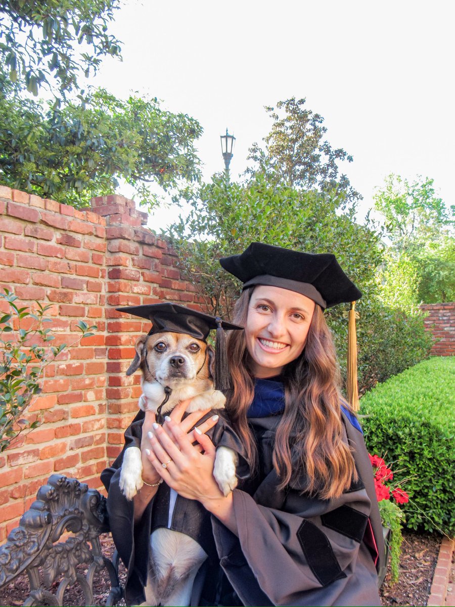 Katherine DeVivo Brooks tweet media