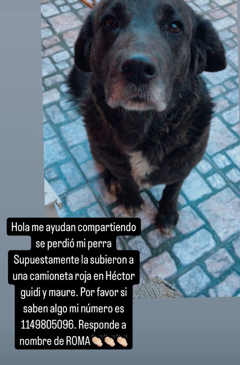 Lleva varios días perdida, RT por favor!