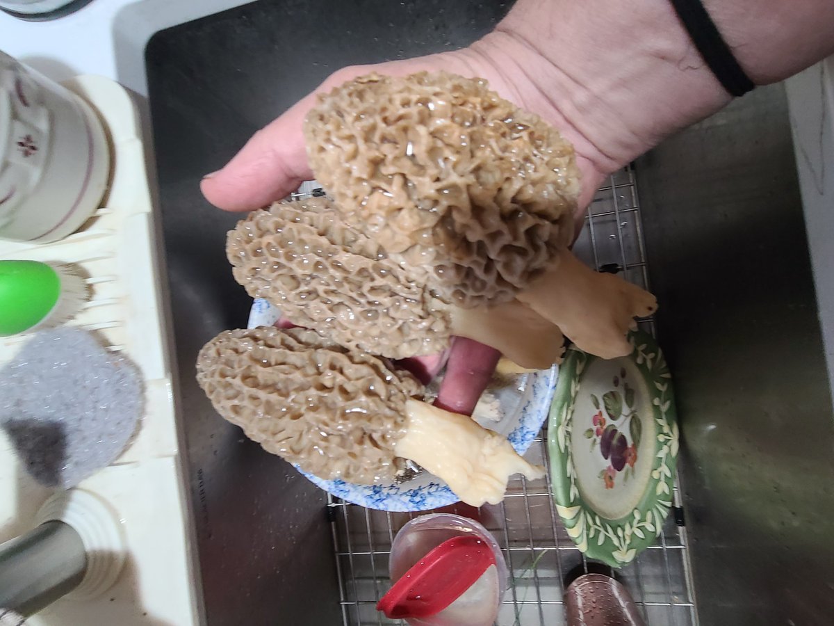 Not a bad way to spend an hour or 2 after work