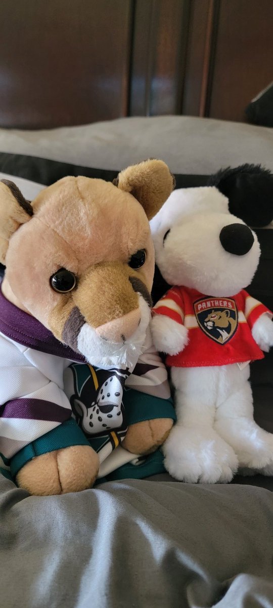 Rudedeck's tweet image. Sync up your TV with @DougPlagens and @LindsayBHockey this evening!  Decker listening to tonight&apos;s game courtesy of the Panthers app from Eastvale (Calif). My 14yo has y&apos;all synced up with ESPN at home. #TimeToHunt #WorldFamousTwitterSegment #ReignRed 🐀