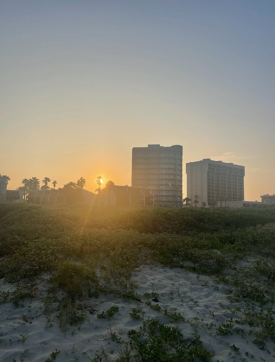 can’t wait till my days start looking like this again…🐚🌺🐬☀️