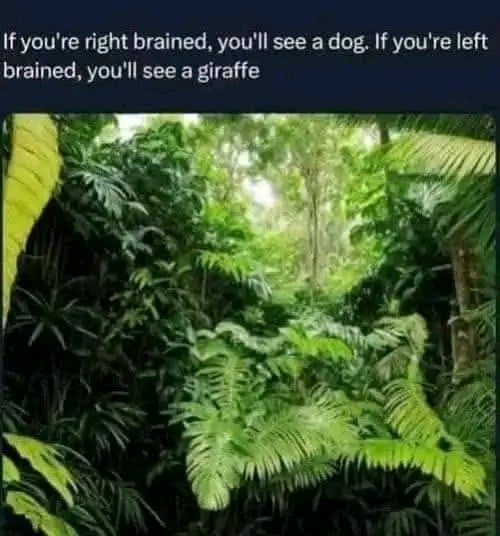 Science And Nature (@interestingsci1) on Twitter photo 