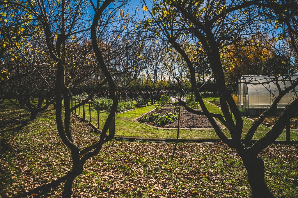 Dog Point Vineyard tweet media