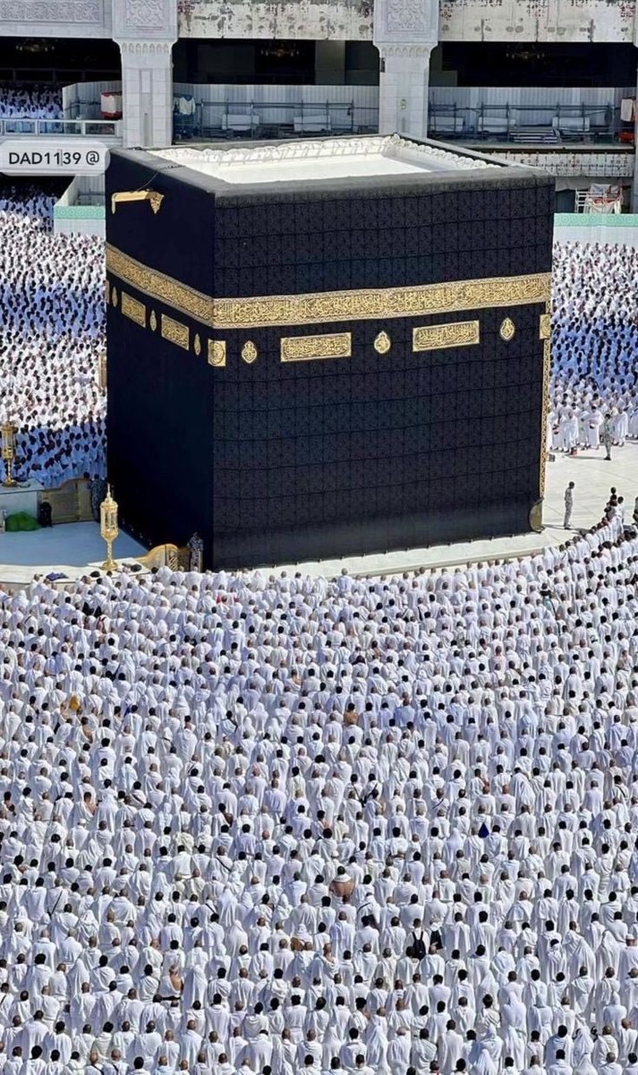 HolyMakkah01's tweet photo. ﴿فَاِنَّ حِزۡبَ اللّٰہِ ہُمُ الۡغٰلِبُوۡنَ﴾ https://t.co/2mLHHopFhr