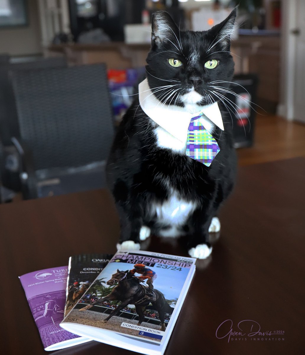 Alex Foley tweet media