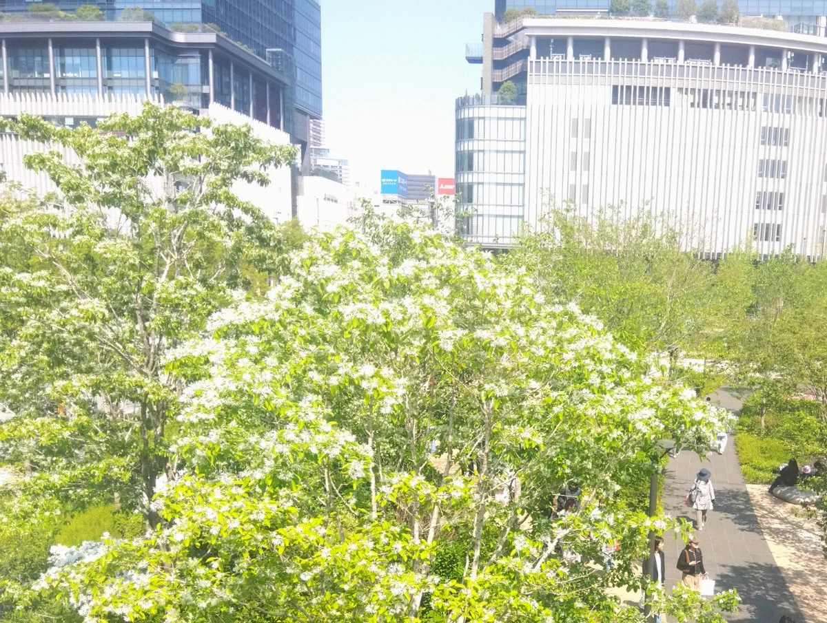 グラングリーン大阪（GRAND GREEN OSAKA）【公式】 on X: 