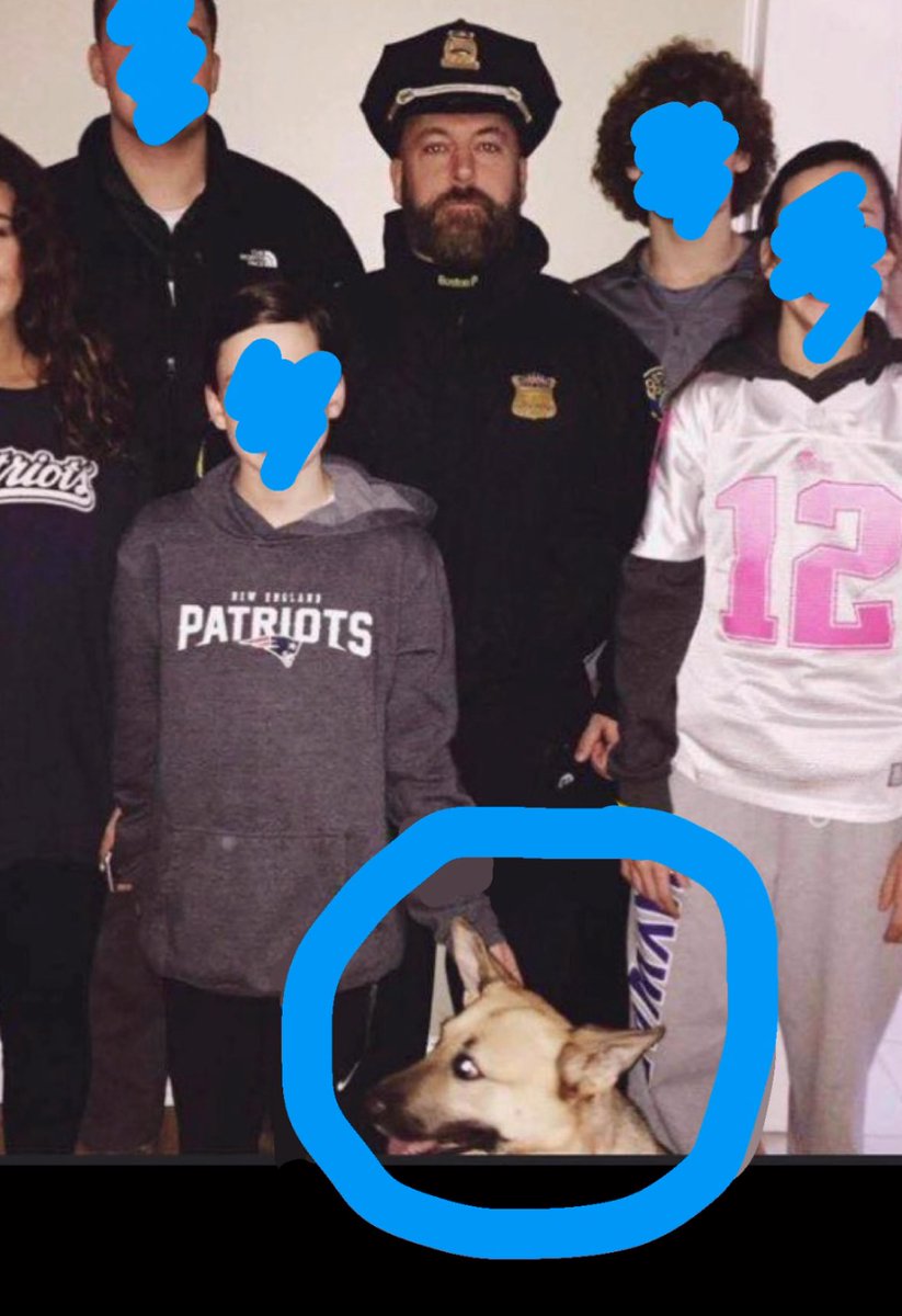 imadriienne's tweet photo. #KarenRead #KarenReadTrial #KarenReadRetrial #JohnOKeefe           

i got a sense that Chloe🐶 is the new Bubba!🐶 &amp; by god the Albert’s saw it coming…… 😏👀 

#FindChloe 🐕 

👇🏼👇🏼👇🏼👇🏼 https://t.co/OzIY5QPAJj