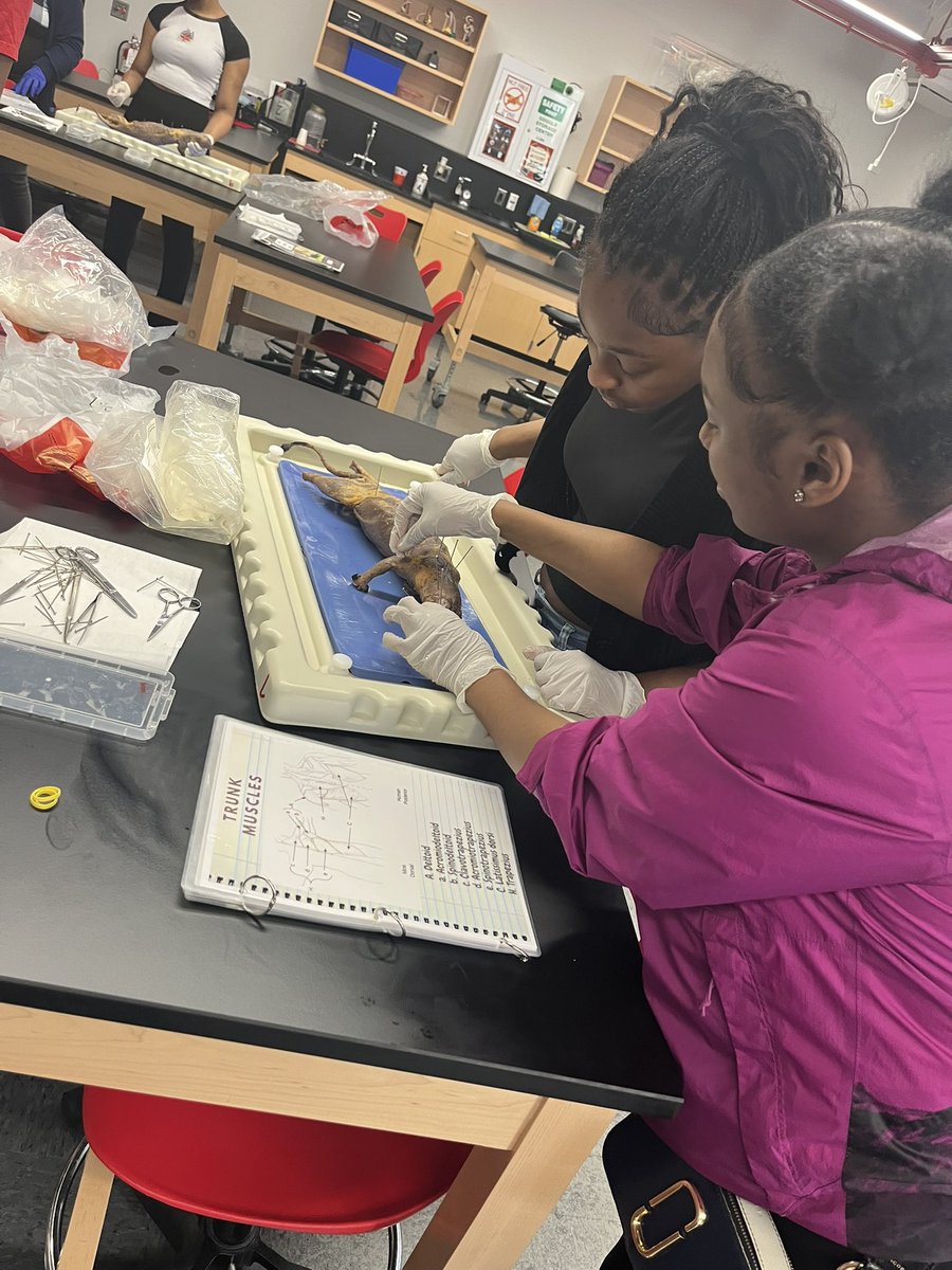 Bestie to the mink we’re dissecting: “Thank you for your donation.”

She’s wearing mink lashes 😂♥️