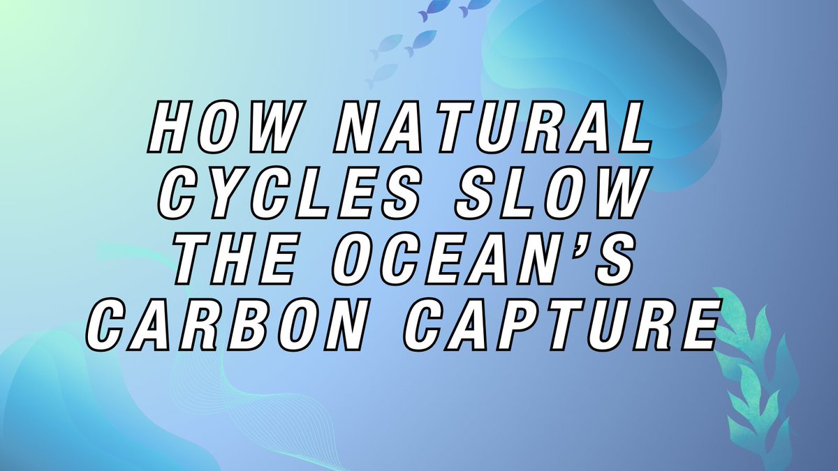 CU Boulder 🦬 (@cuboulder) on Twitter photo Natural climate cycles can temporarily slow how much carbon oceans absorb, <a href="/CUArtsSciences/">CU Boulder Arts and Sciences</a> research shows.
Short-term shifts, big climate impacts.
Learn more ↓
bit.ly/3RHRvdg Natural climate cycles can temporarily slow how much carbon oceans absorb, <a href="/CUArtsSciences/">CU Boulder Arts and Sciences</a> research shows.
Short-term shifts, big climate impacts.
Learn more ↓
bit.ly/3RHRvdg