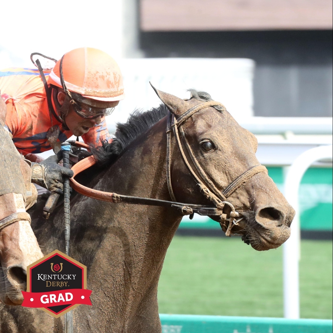 KentuckyDerby's tweet image. Hey we know him! 🫵

150th Kentucky Derby contender Honor Marie wins the Isaac Murphy Marathon Stakes 🏆