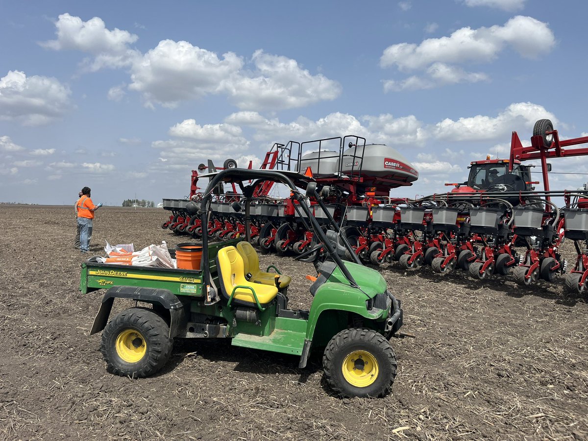 Golden Harvest Illinois tweet media