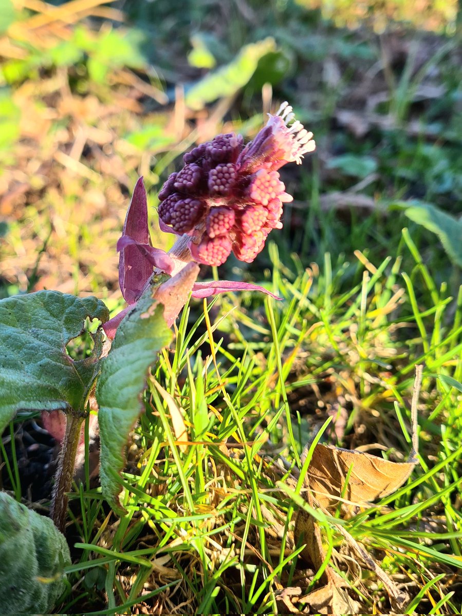 Klaus Schwabe is gay <a href="/plombus/">Luis Rey</a>