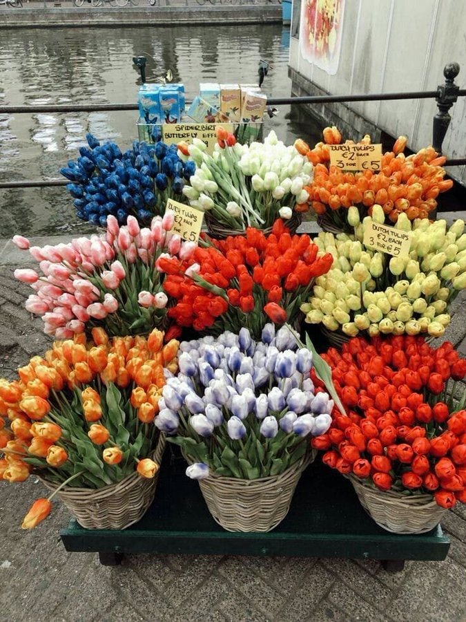 çiçek günlüğü (@cicekgunlugu) on Twitter photo 