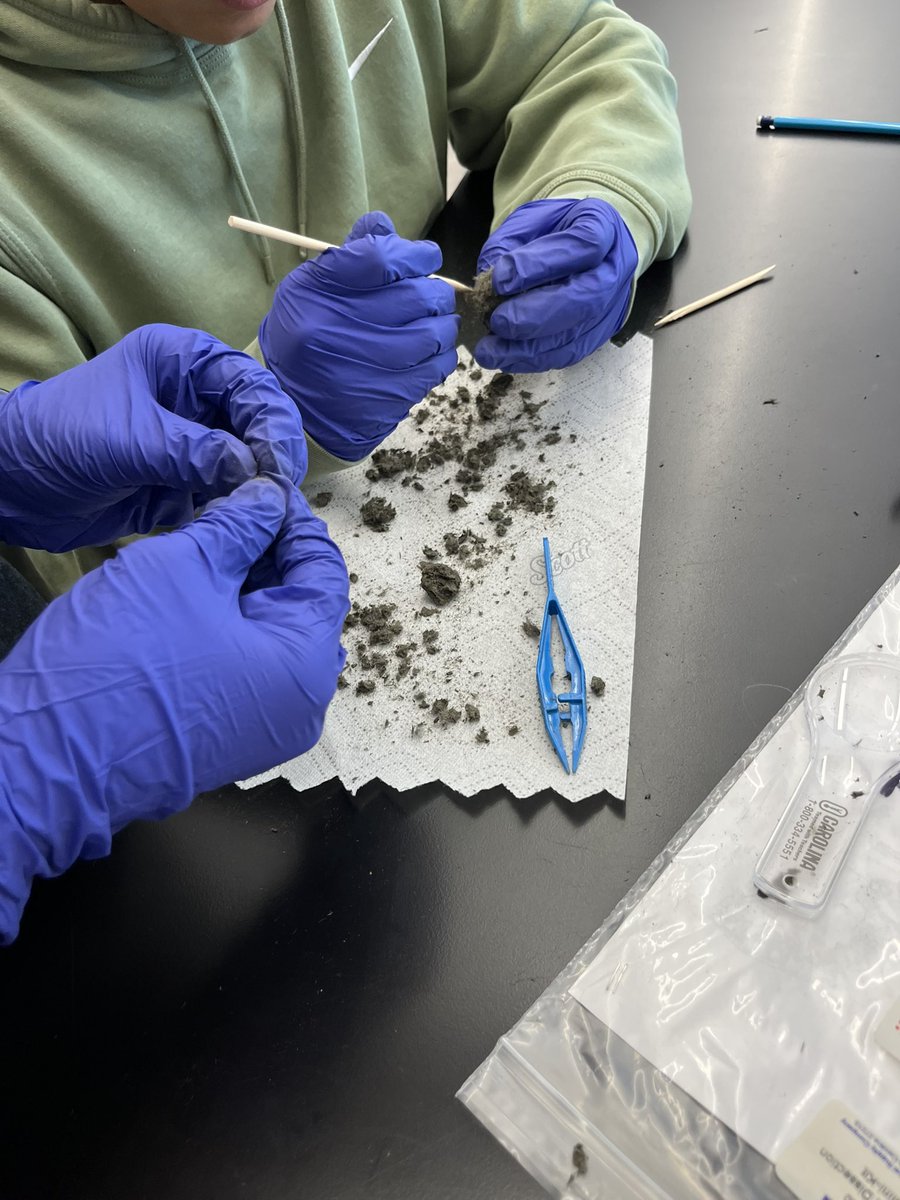 Lyndhurst Middle School tweet media