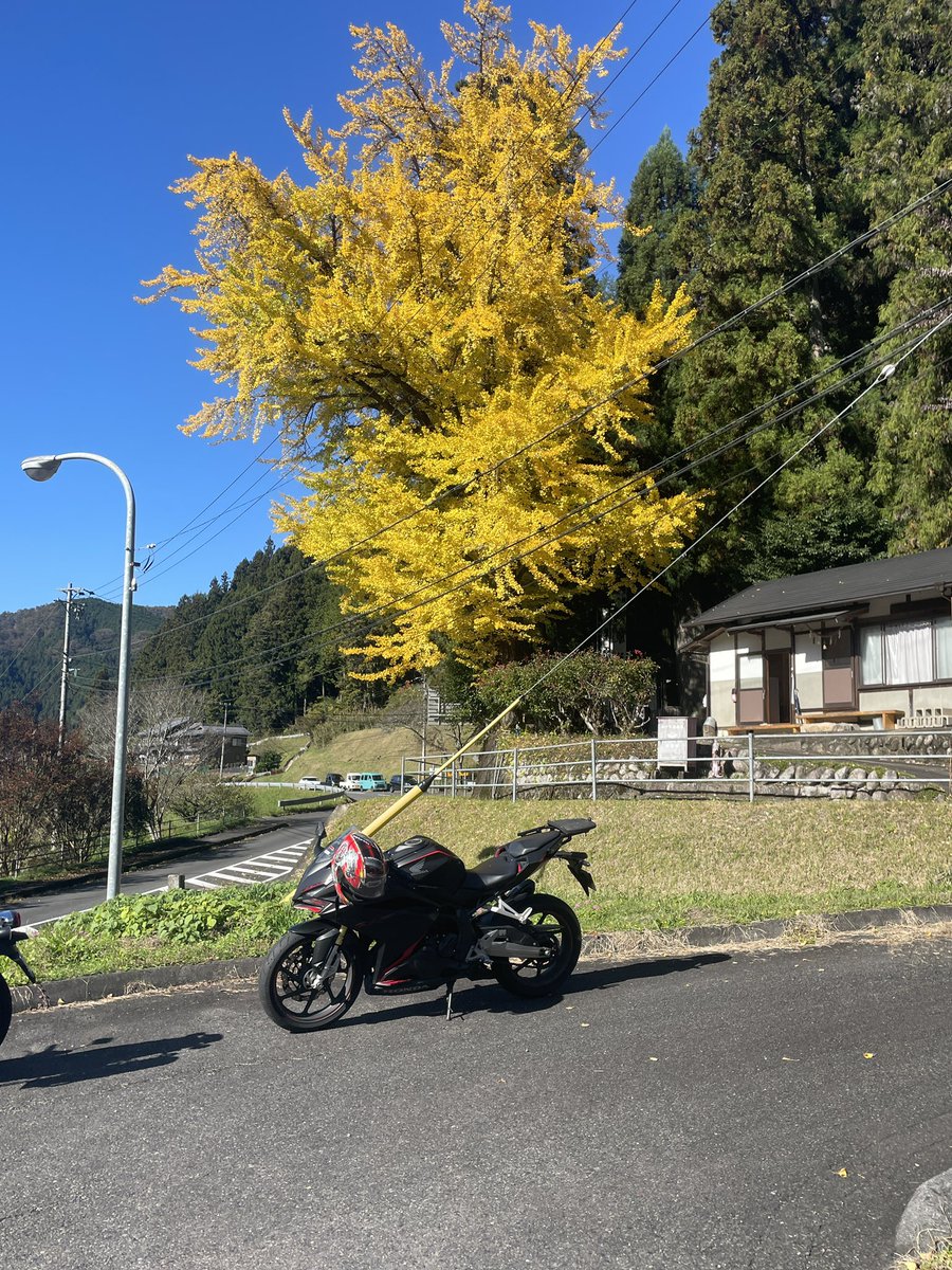 CBR_MONKEY_FXST's tweet image. #CBR250RR
#CBR
 #MC51の日
