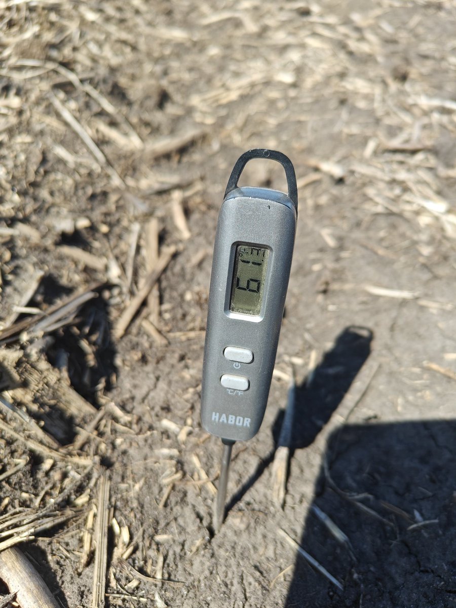 Planted on April 22nd, making progress.....#grow25