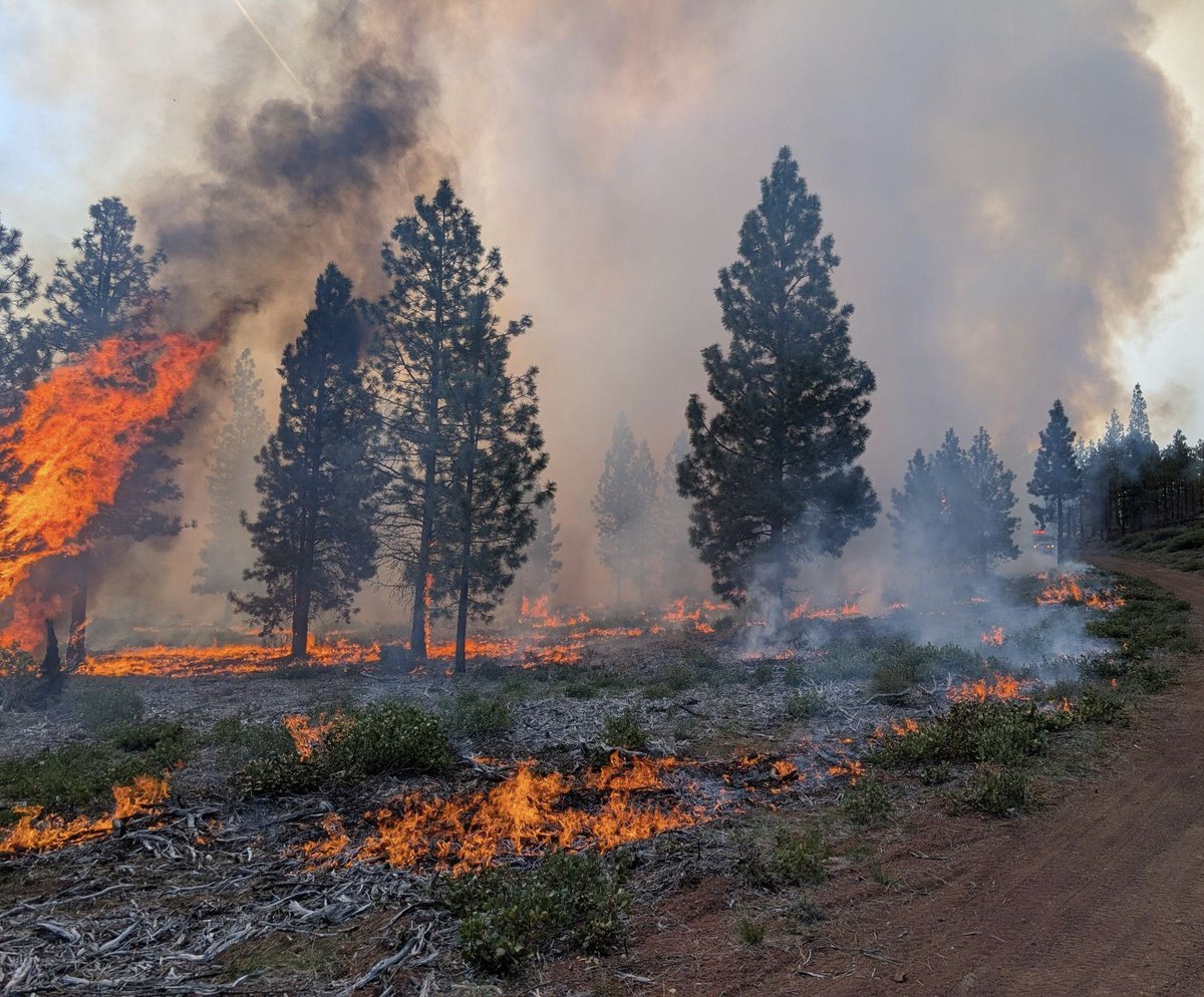 Firefighters have completed ignitions for 64 acres on SAFR Unit 4 Prescribed Burn 4 miles S of Sisters. Firefighters have transitioned to mopping up &amp; securing the perimeter. Residents in the area are encouraged to keep doors and windows closed to minimize smoke impacts.