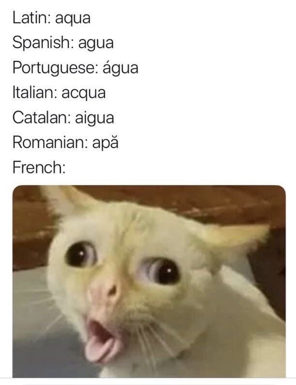 Moa Education®️ | Idiomas (@moaeducation) on Twitter photo 