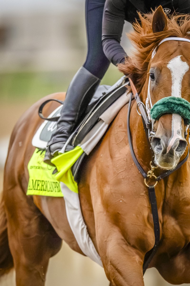 KentuckyDerby's tweet image. 3️⃣ sons of Triple Crown winners are running in the #KyDerby this year:

👑 American Promise
👑 Luxor Cafe
👑 Publisher