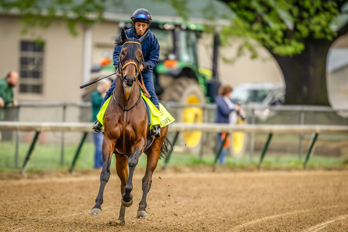 KentuckyDerby's tweet image. 3️⃣ sons of Triple Crown winners are running in the #KyDerby this year:

👑 American Promise
👑 Luxor Cafe
👑 Publisher