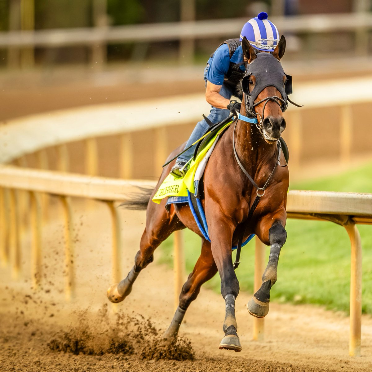 KentuckyDerby's tweet image. 3️⃣ sons of Triple Crown winners are running in the #KyDerby this year:

👑 American Promise
👑 Luxor Cafe
👑 Publisher