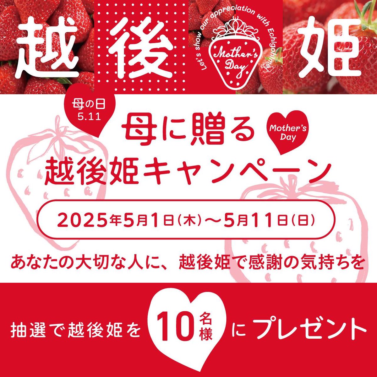 越後姫で感謝の気持ちを贈ろう🍓
** ┈┈┈┈┈┈┈┈┈┈┈┈┈┈┈**

#母に贈る越後姫キャンペーン 🌹

大切な人に感謝の気持ちを伝えよう🍓
抽選で10名様に越後姫を🎁

▷ 応募方法
1️⃣ <a href="/echigohime_ngt/">越後姫 ⎹ 新潟県推進ブランド品目 ⎹ 公式 ⎹ 新潟生まれ新潟そだち⎹</a> をフォロー
2️⃣ 感謝の言葉をつけてこの投稿を引用RT

echigohime.net/2025/04/15/mot…

⏬続く