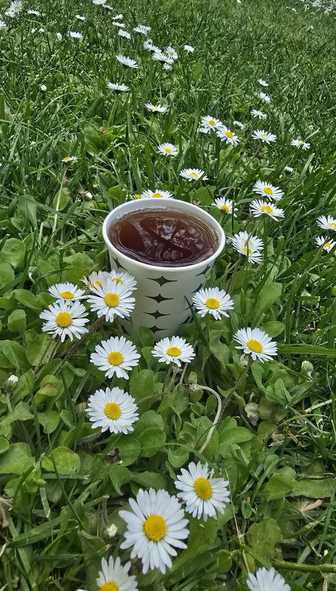 Başkalarının aklıyla yaşayanlar. Kendi
 yüreklerine yabancılaşırlar...✍️🐞
             
                      ( Edip Cansever)