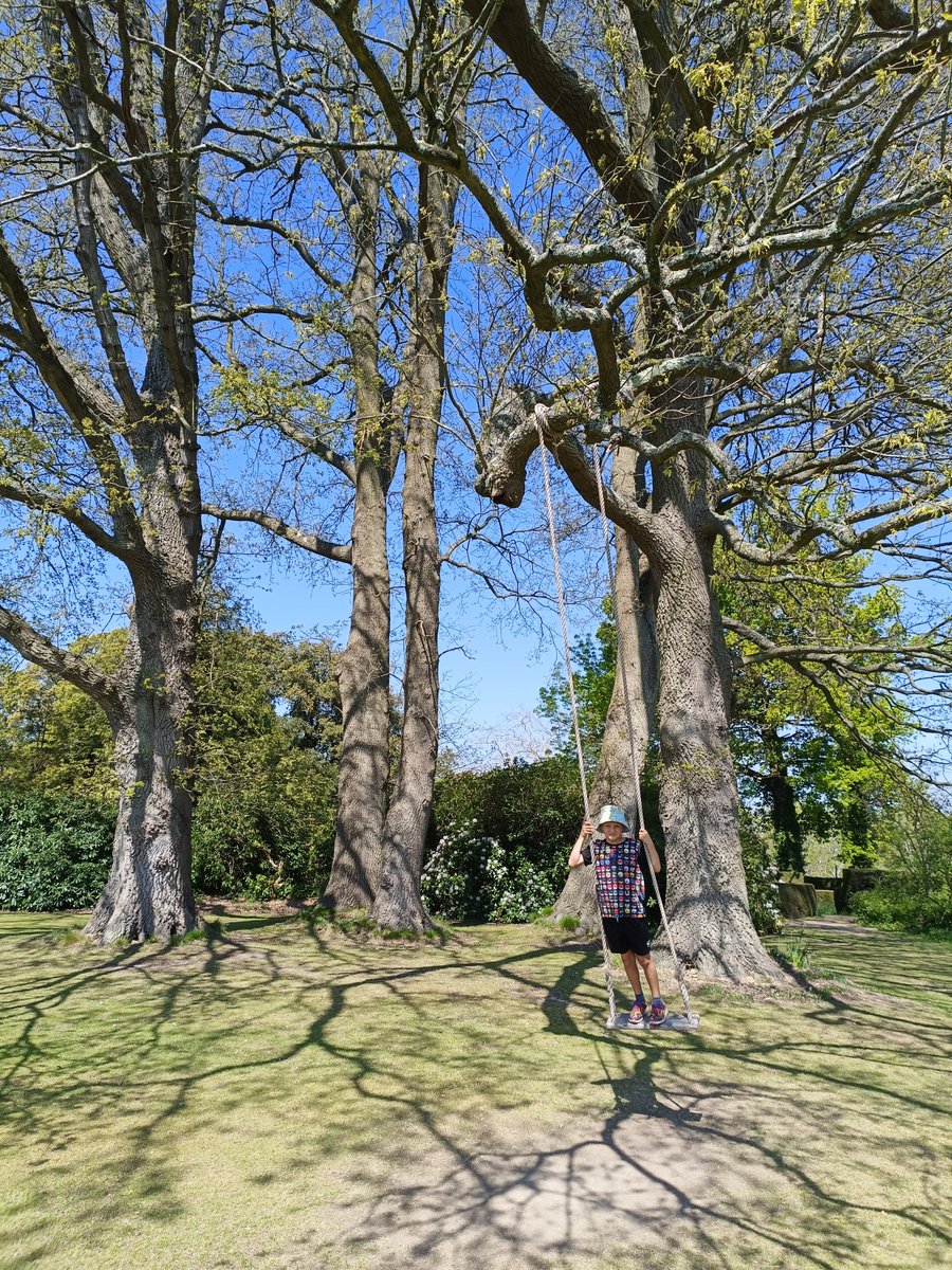 KentGirlMusings tweet media