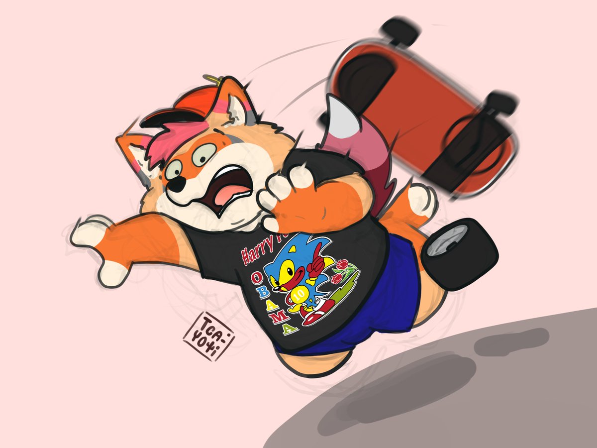 Today is National Children's Day in Mexico, and I wanted to share one of my childhood moments: falling off a kind of wheeled board called ''avalancha''