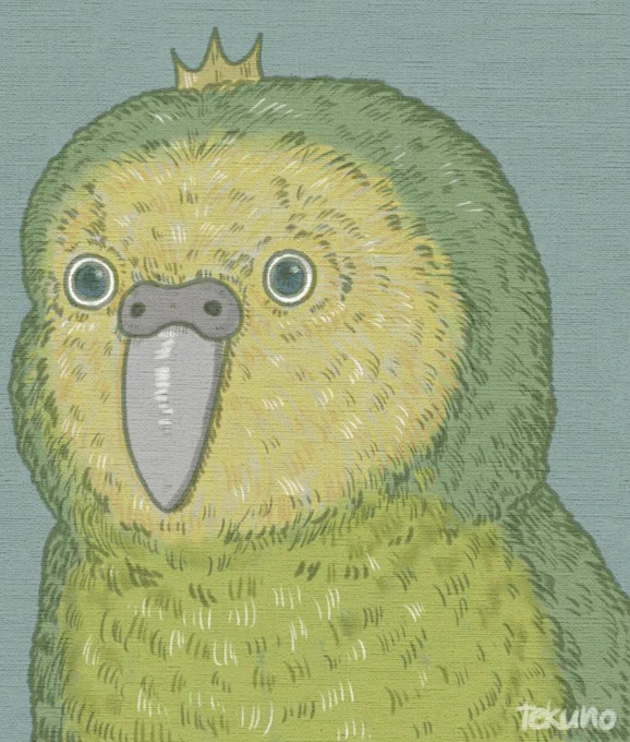 鳥さんたち。 