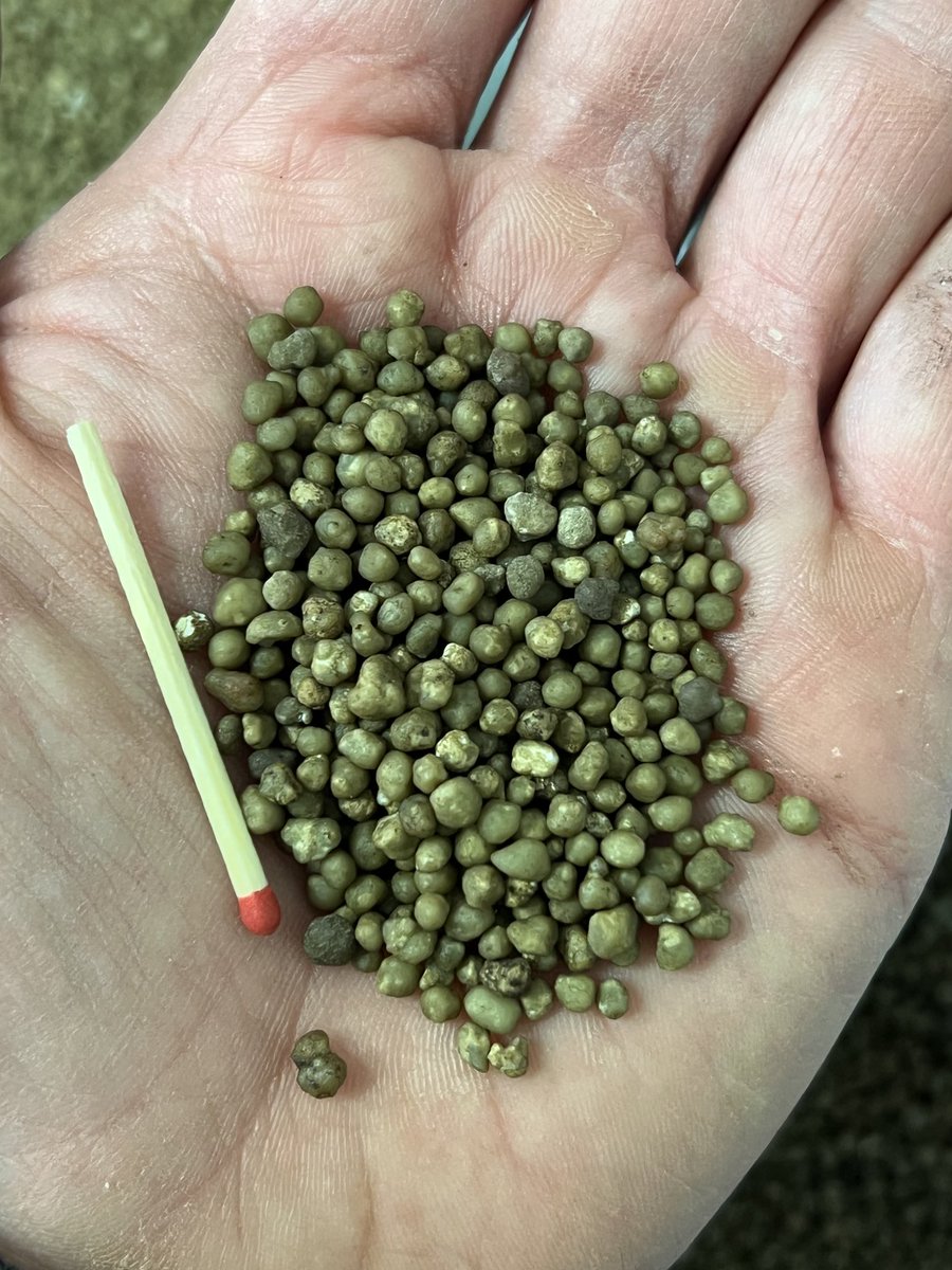 Jarrod Amery tweet media