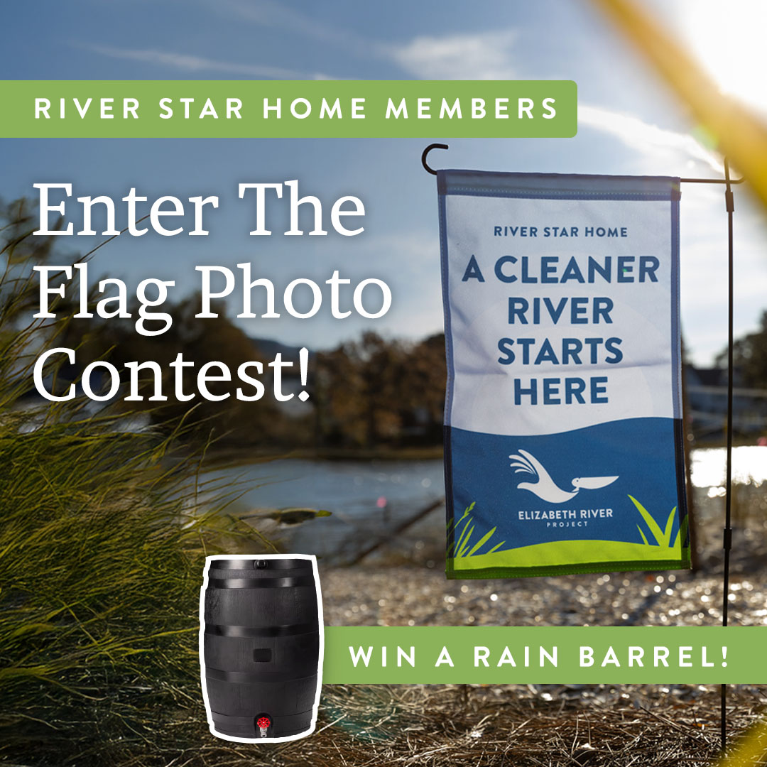 Whether your River Star Homes flag is flying in a native garden, alongside your pet, or next to a weekend cleanup crew, we want to see! The winning photo will be featured in our newsletter &amp; the winner will receive a free rain barrel! See contest rules: brnw.ch/21wSkyt