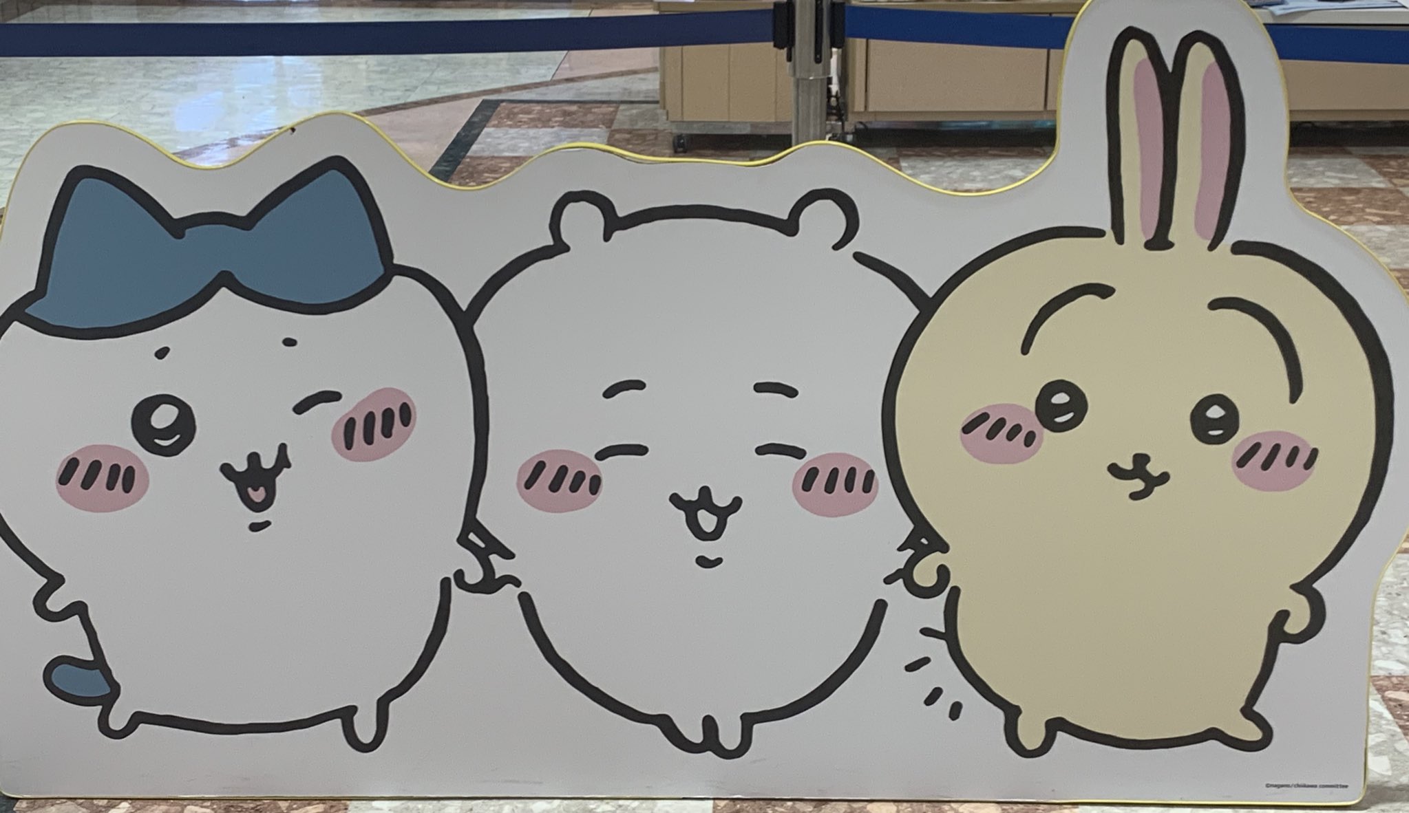 あいにゃん^⸝⸝ ̫⸝⸝^ (@airin57RinMaru) / X