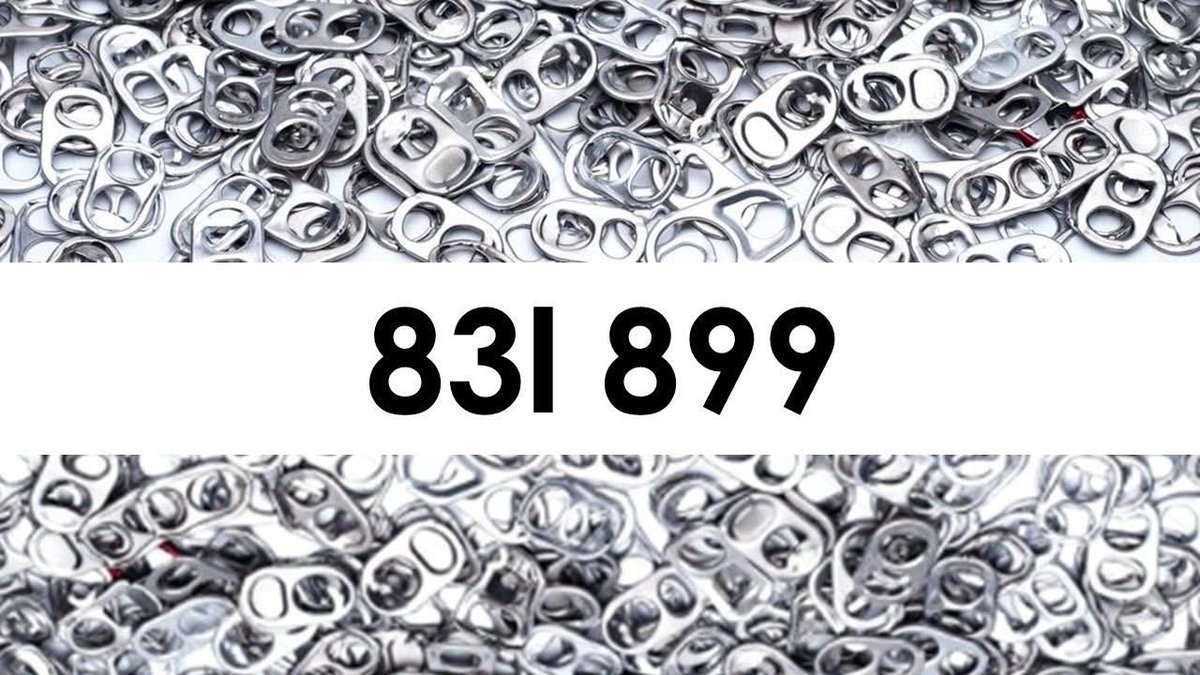 The word impressive is an understatement when describing how our young lions collected 831 899 pop tabs to support the work of the Luxor Shiners! Today we celebrated that their contribution will help transport sick children and their families to hospitals in Montreal and Boston!