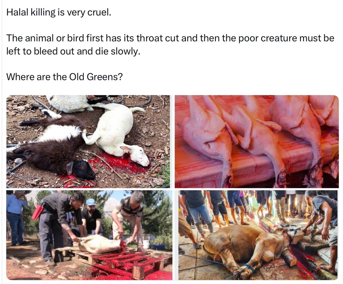 You can buy Halal meat at Coles, Woolworths and Aldi.