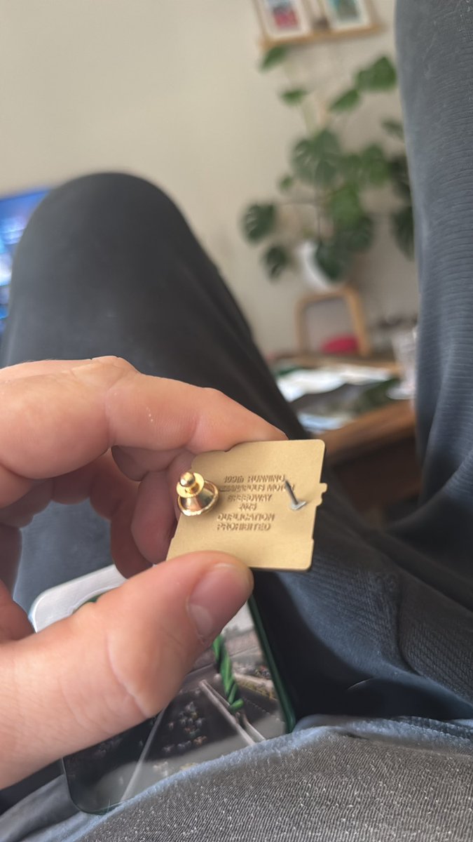 tysonlosness's tweet photo. @TSA can I carry on my Indy 500 pin? https://t.co/t31McAVD58